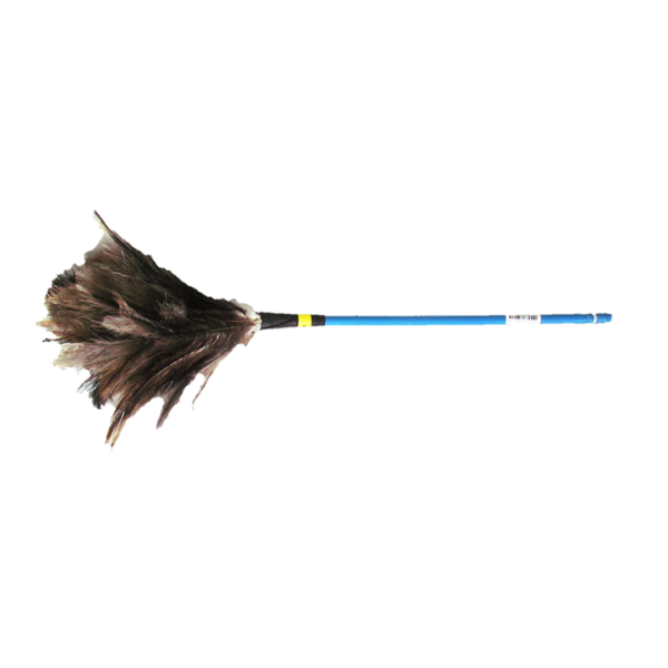 Plumero de Plumas